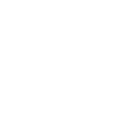5th icon representing, number of U.S Paralympic Gold medals