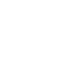 #3 icon representing Gold Medals ​men’s, women’s, paralympics