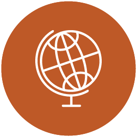 Globe icon