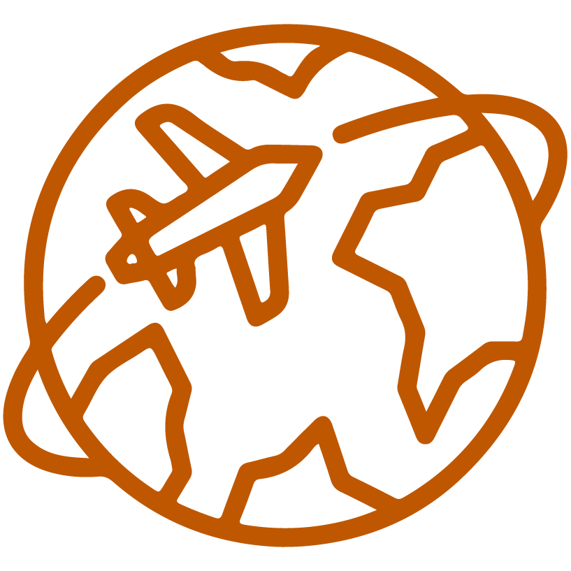 globe icon globe icon